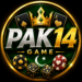 pak14 game
